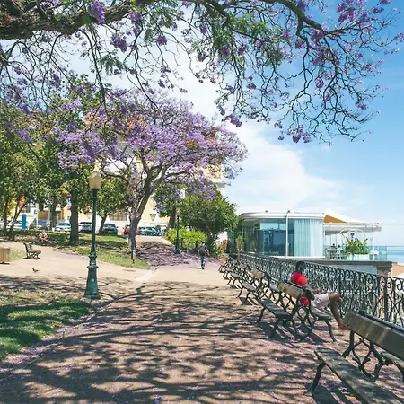 Lapa Getaway With Swimming Pool Διαμέρισμα *